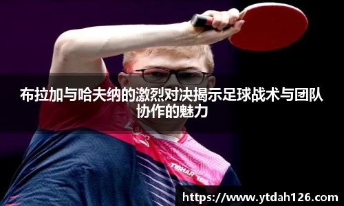 彩神vll官方平台